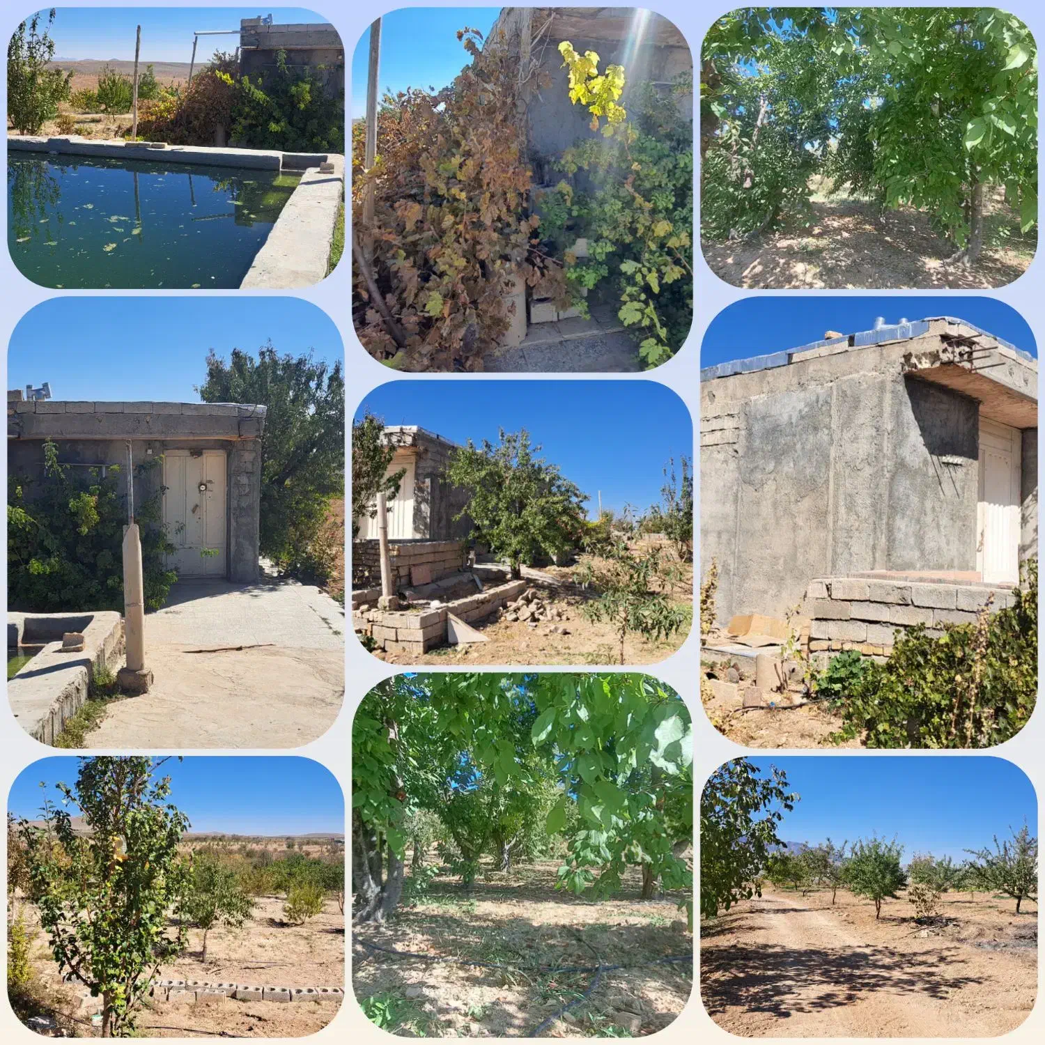 چند قطعه باغ با اتاق و فنس پل زمانخان|فروش دفتر صنعتی، کشاورزی، تجاری|سامان, |دیوار