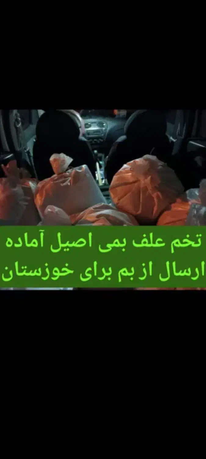 تخم علف بمه گرمسیری تصاویر بالا|خدمات باغبانی و درختکاری|جیرفت, |دیوار