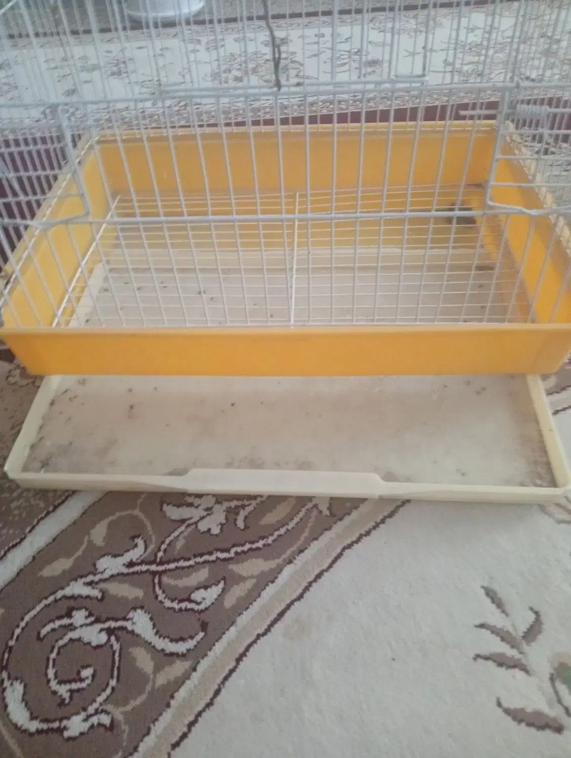 قفس|لوازم جانبی حیوانات|ایلام, |دیوار