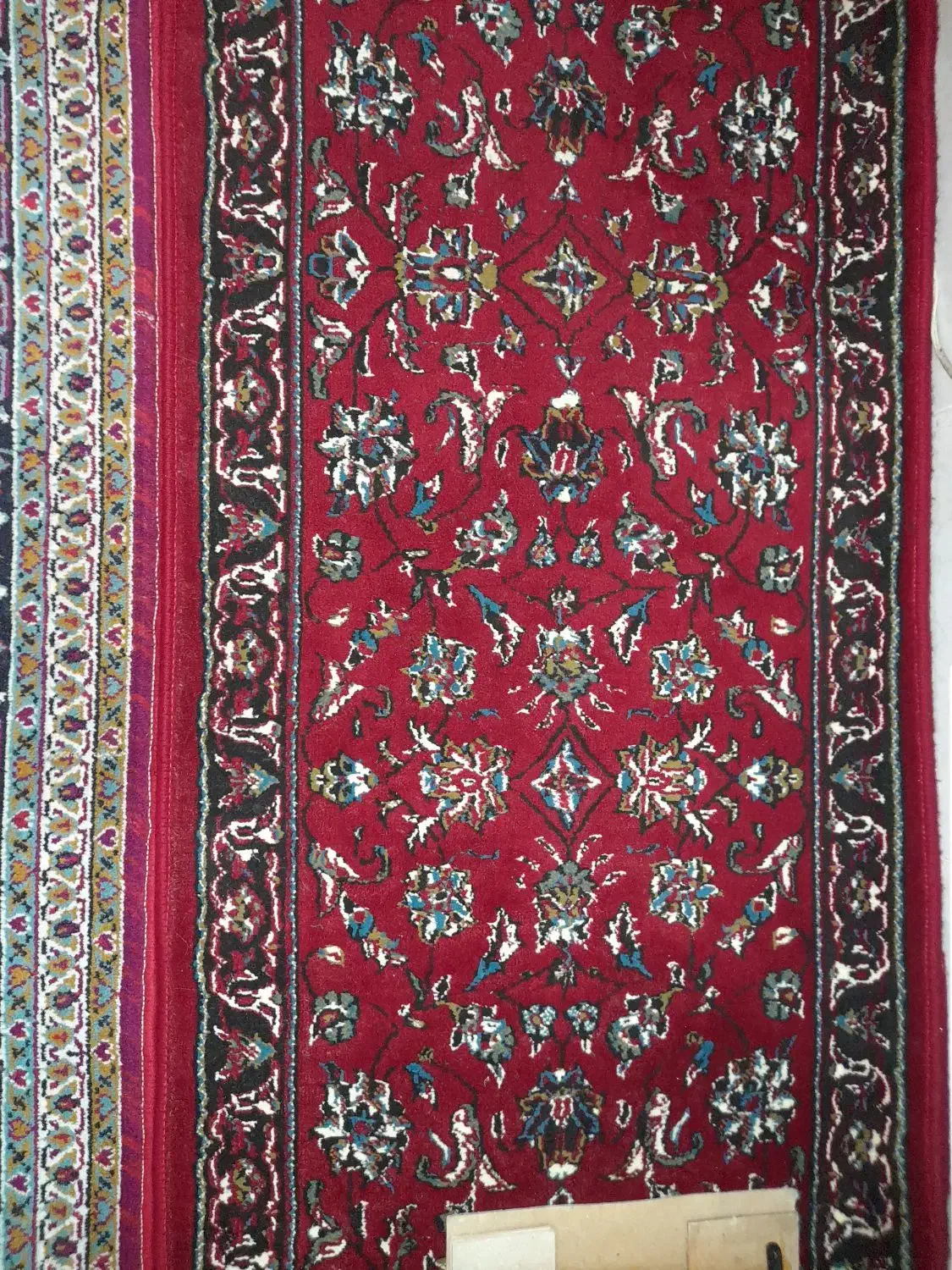 فرش|فرش|زنجان, |دیوار