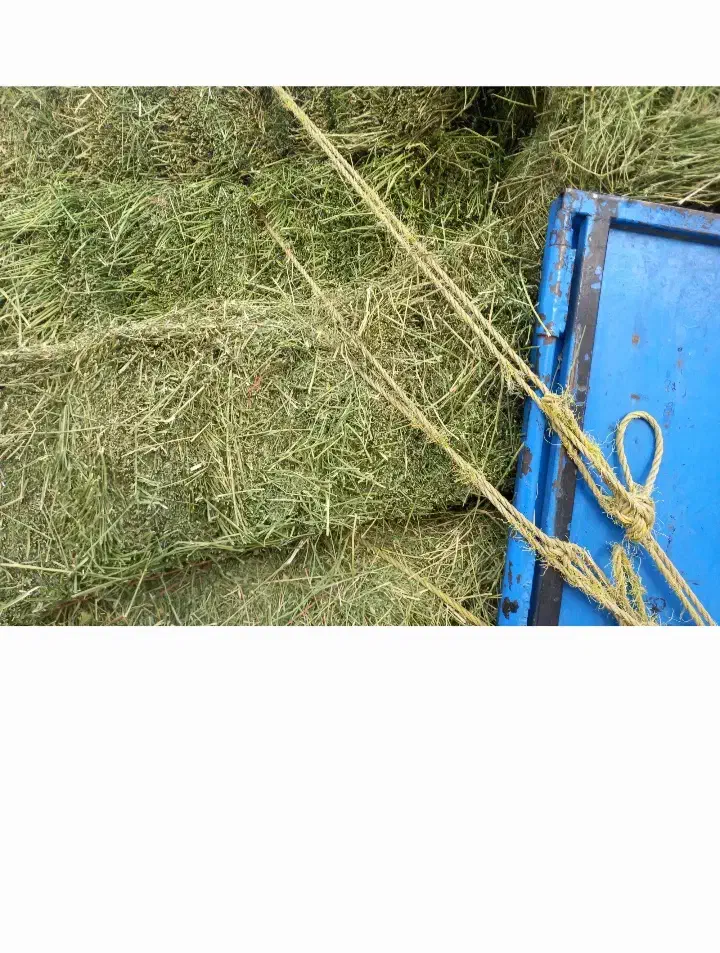 یونجه|لوازم جانبی حیوانات|سرپل ذهاب, |دیوار