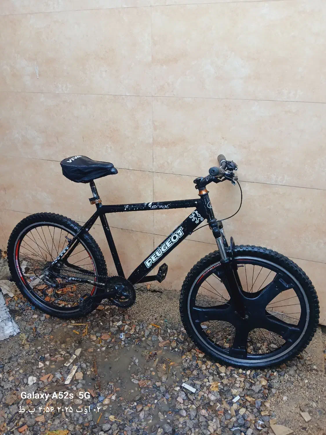 دوچرخه ۲۶ و ۲۴|دوچرخه، اسکیت، اسکوتر|گنبد کاووس, |دیوار