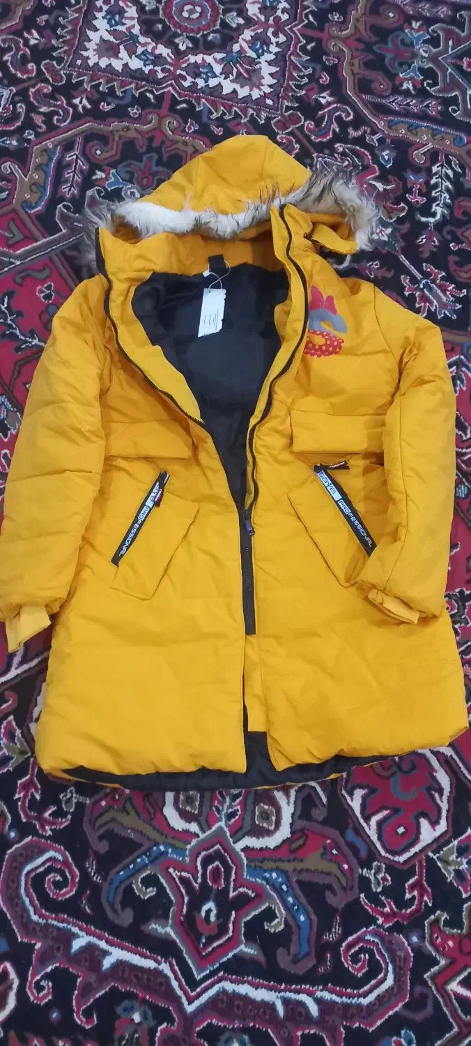 کاپشن دخترانه نو نو|لباس|خوی, |دیوار