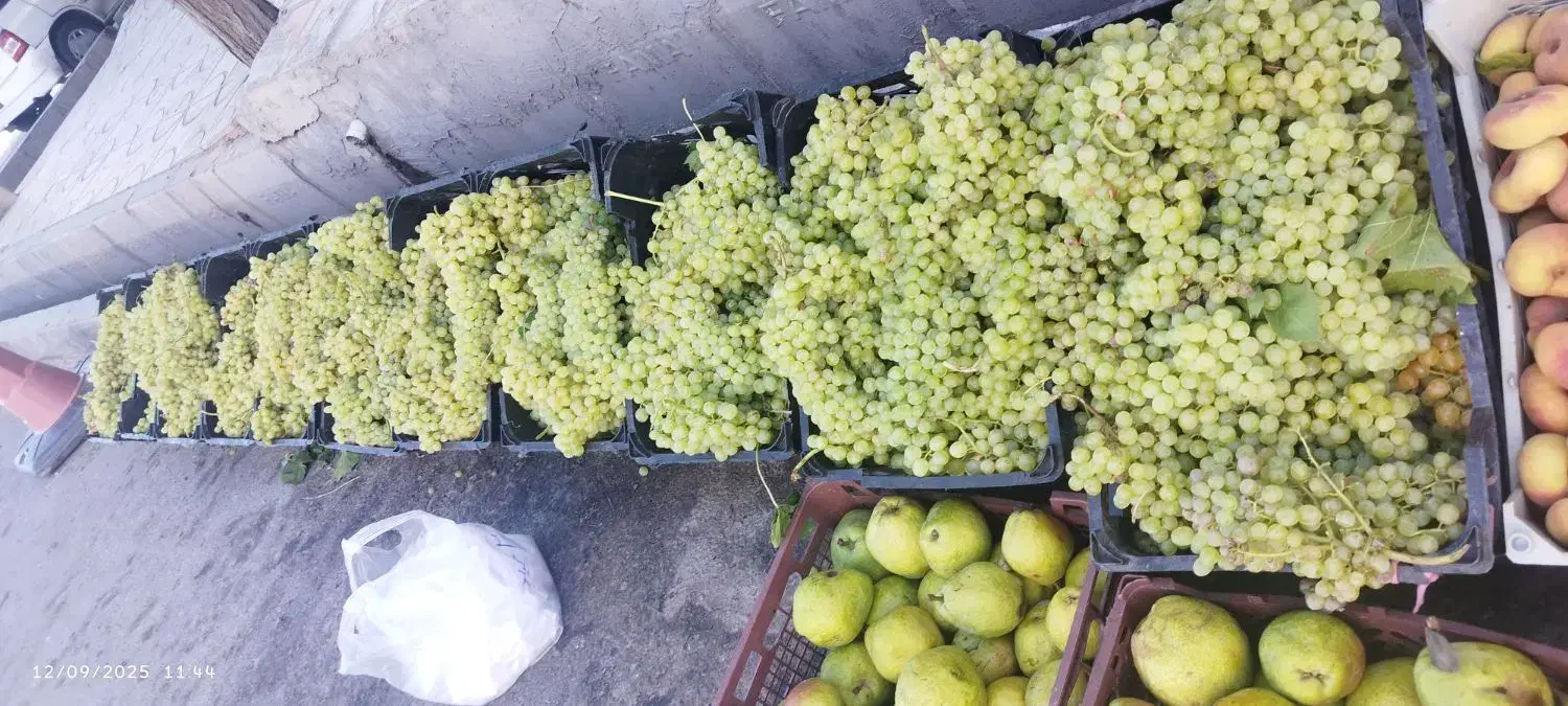 کشمش تازه و طبیعی  بار تاکستان محصول یکماه اخیر|خوردنی و آشامیدنی|اسلام‌شهر, شهرک سعیدیه|دیوار