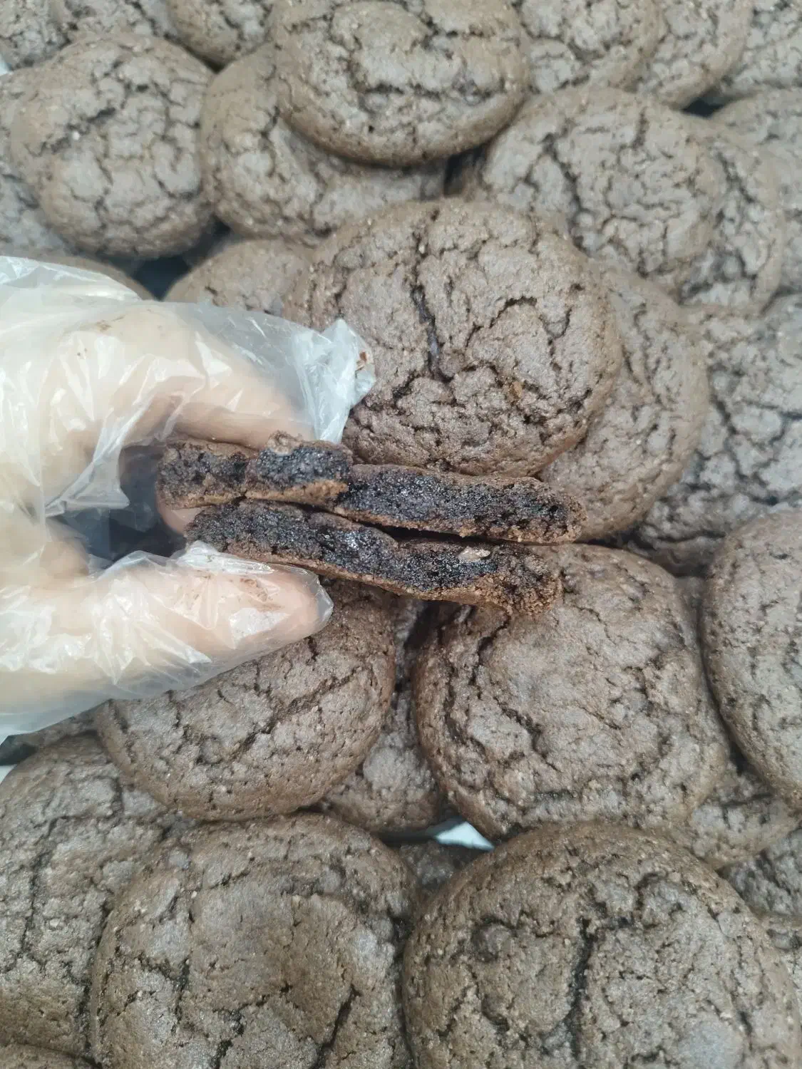 فروش عمده انواع کوکی برای فروش|خدمات پذیرایی، مراسم|رشت, شالکو|دیوار