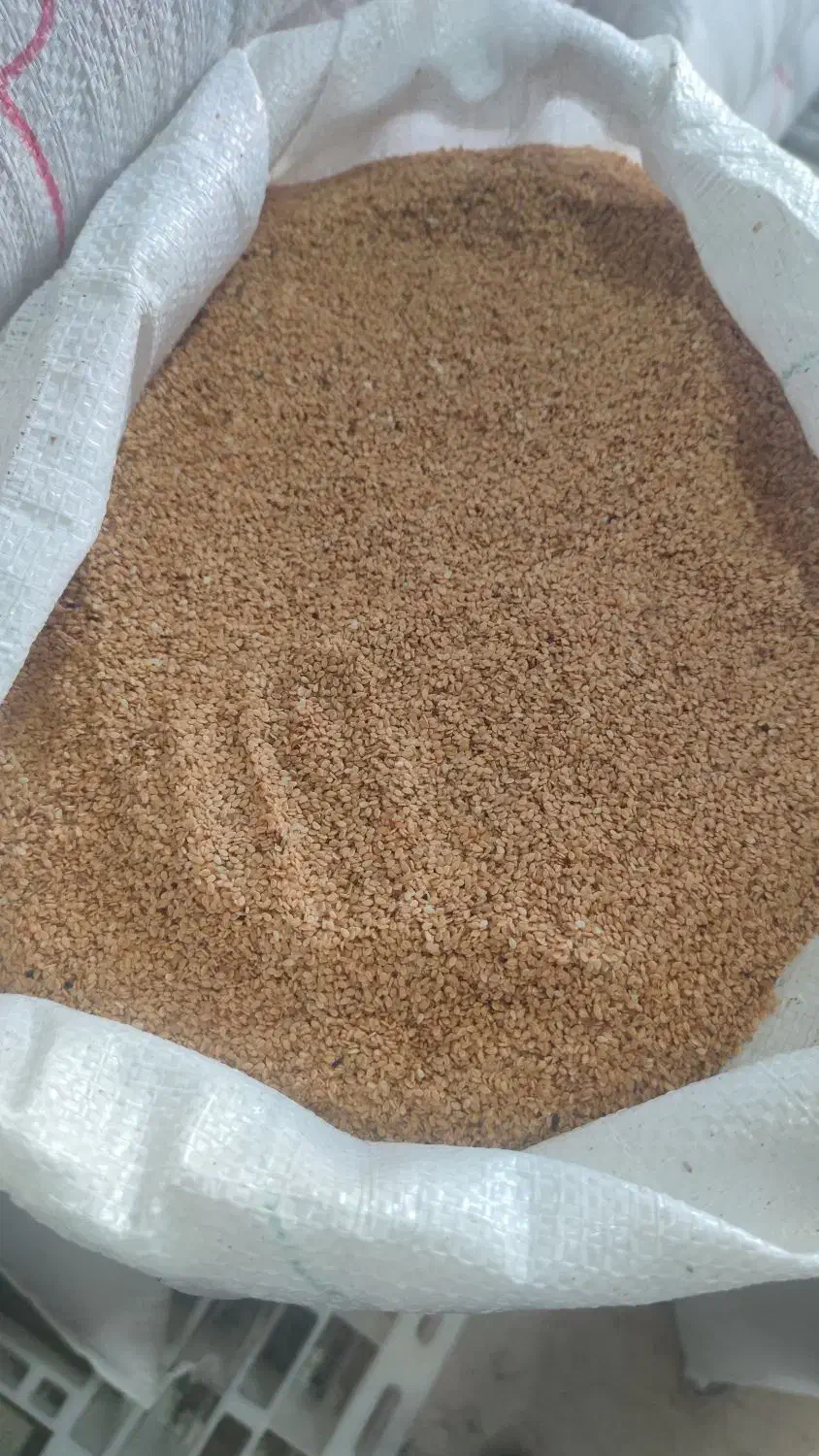 کنجد ارده گیری ،کنجد قنادی ،کنجد روغنگیری|عمده‌فروشی|اردکان, |دیوار