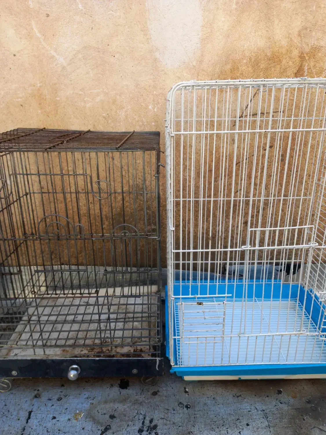 قفس پرنده|لوازم جانبی حیوانات|ری, فیروزآباد|دیوار