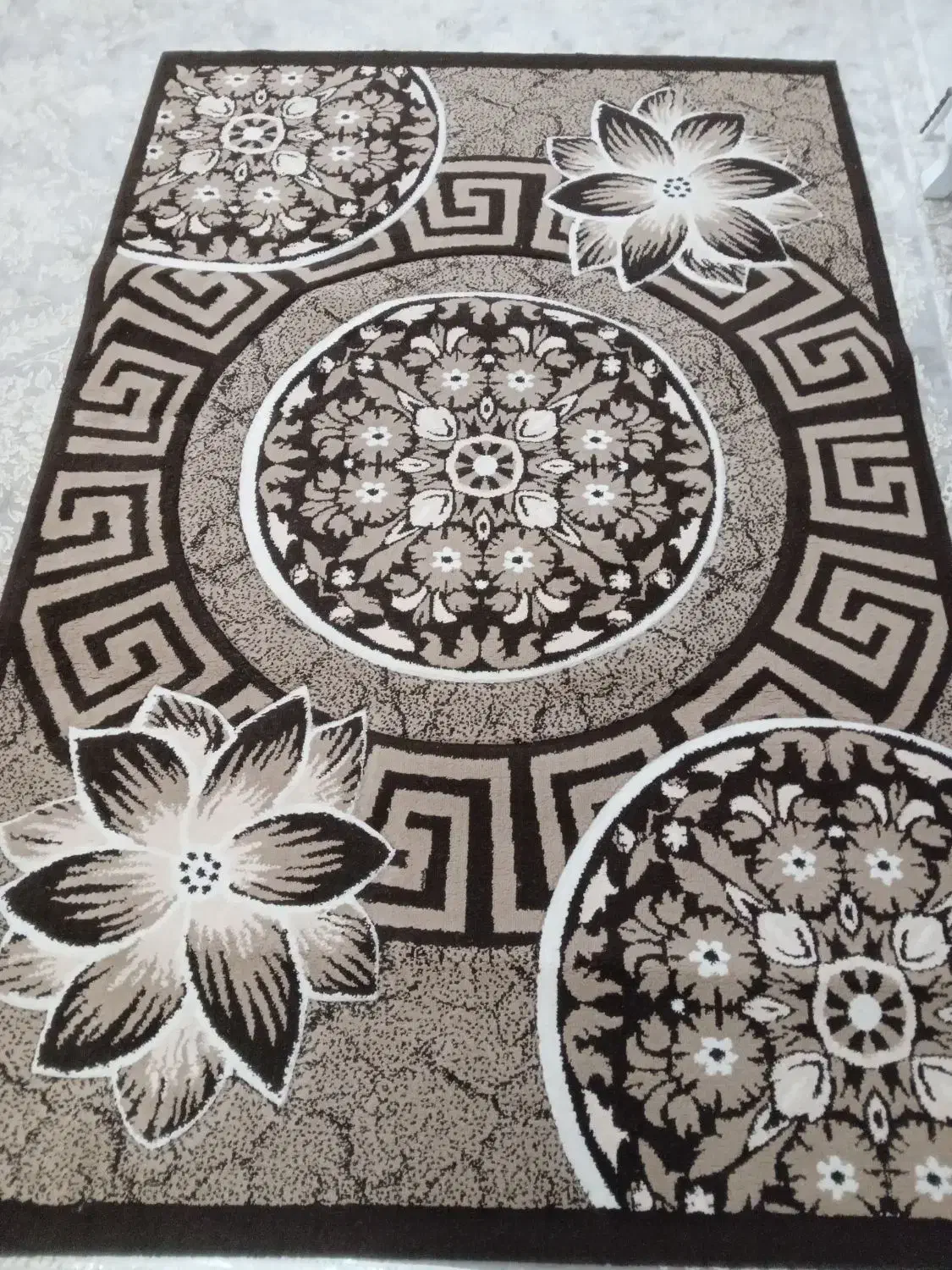 فرش ۴ متری|فرش|بندر انزلی, نوغان|دیوار