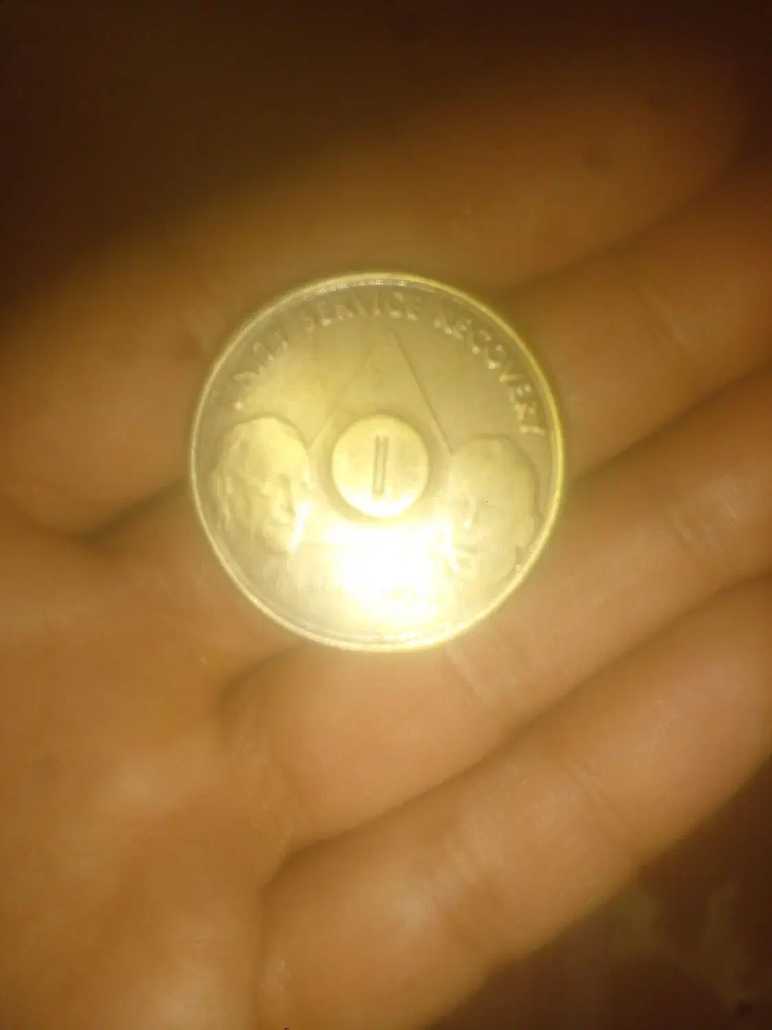 سنگ شجر و فیروزه|کلکسیون اشیاء عتیقه|مشهد, باغ فراگرد|دیوار