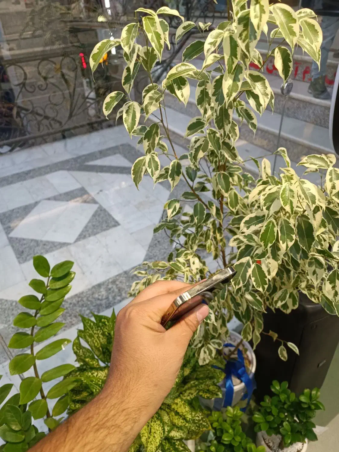 IPHONE 12 MAX 256GB ZAA|موبایل|بجنورد, |دیوار