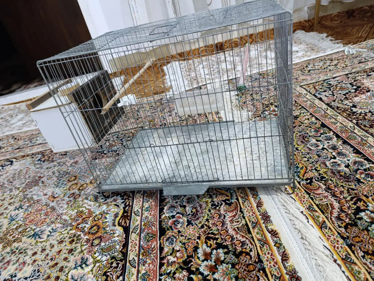 قفس پرنده|لوازم جانبی حیوانات|مراغه, |دیوار