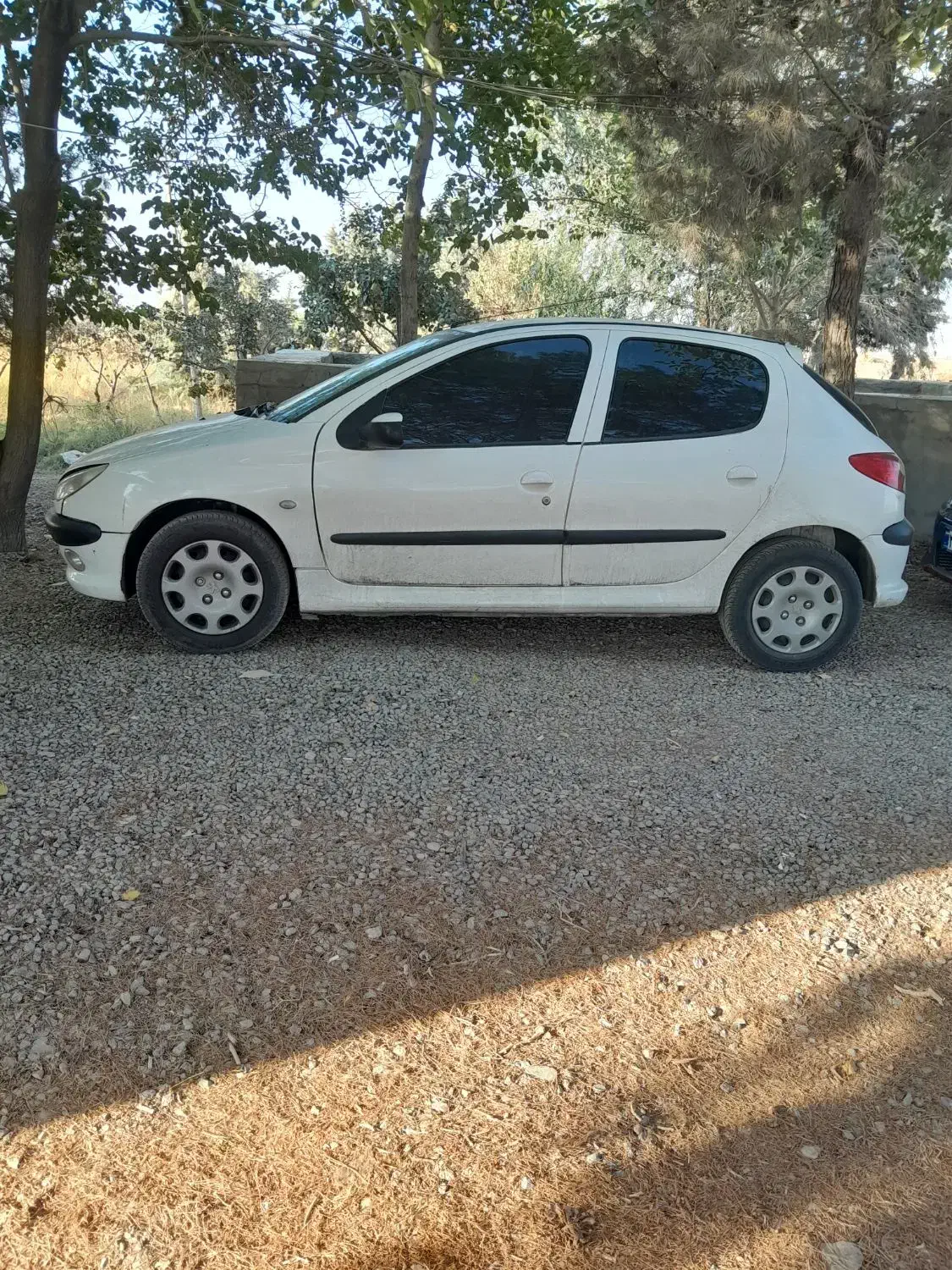 پژو‌۲۰۶|خودرو سواری و وانت|فامنین, |دیوار