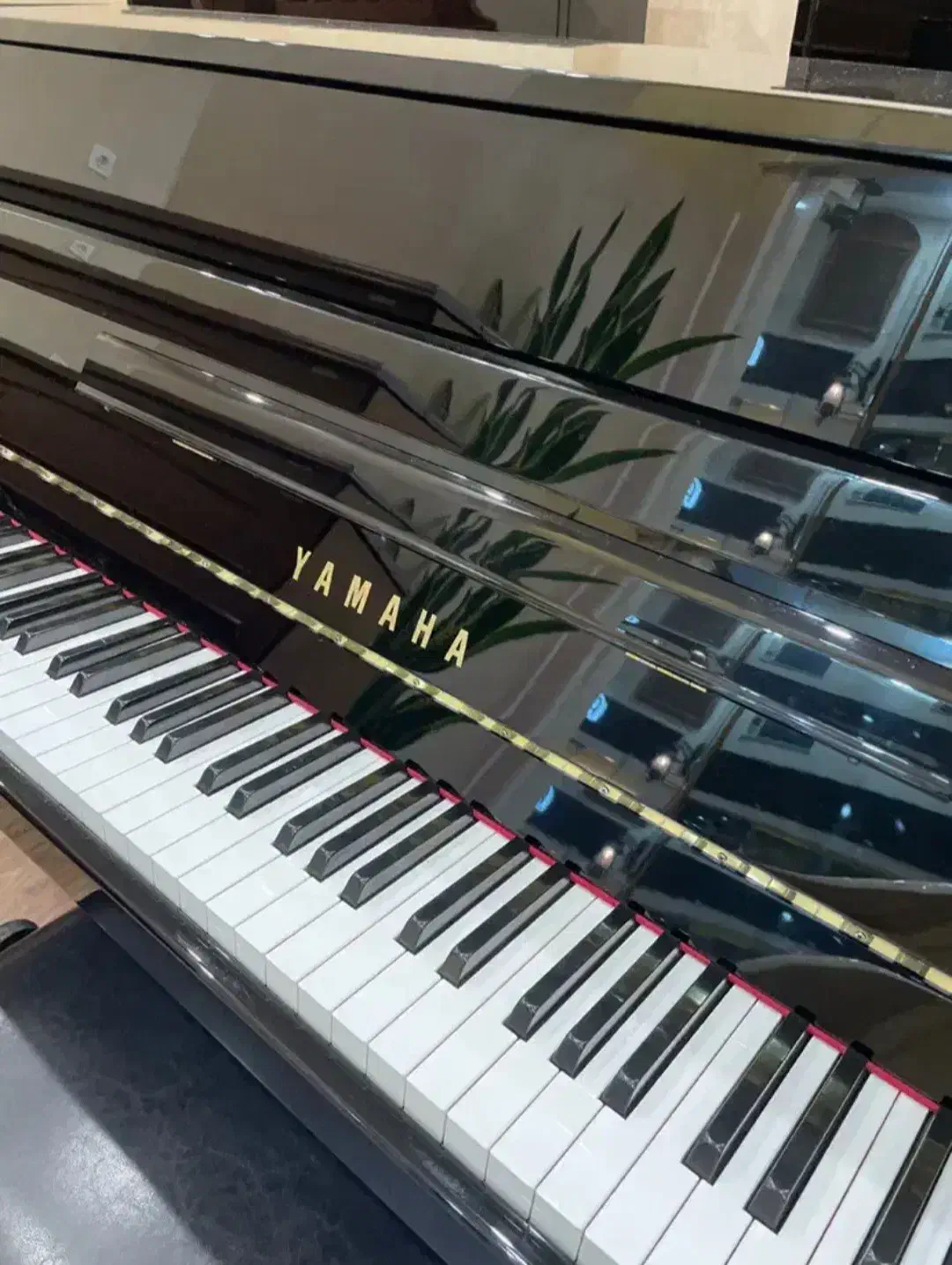 آموزش پیانو (آموزشگاه-شخصی)|خدمات آموزشی|قم, عمار یاسر|دیوار