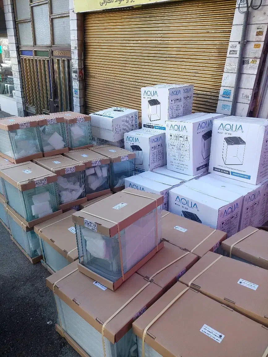 بار جدید اکواریوم امیر|ماهی|اردبیل, |دیوار