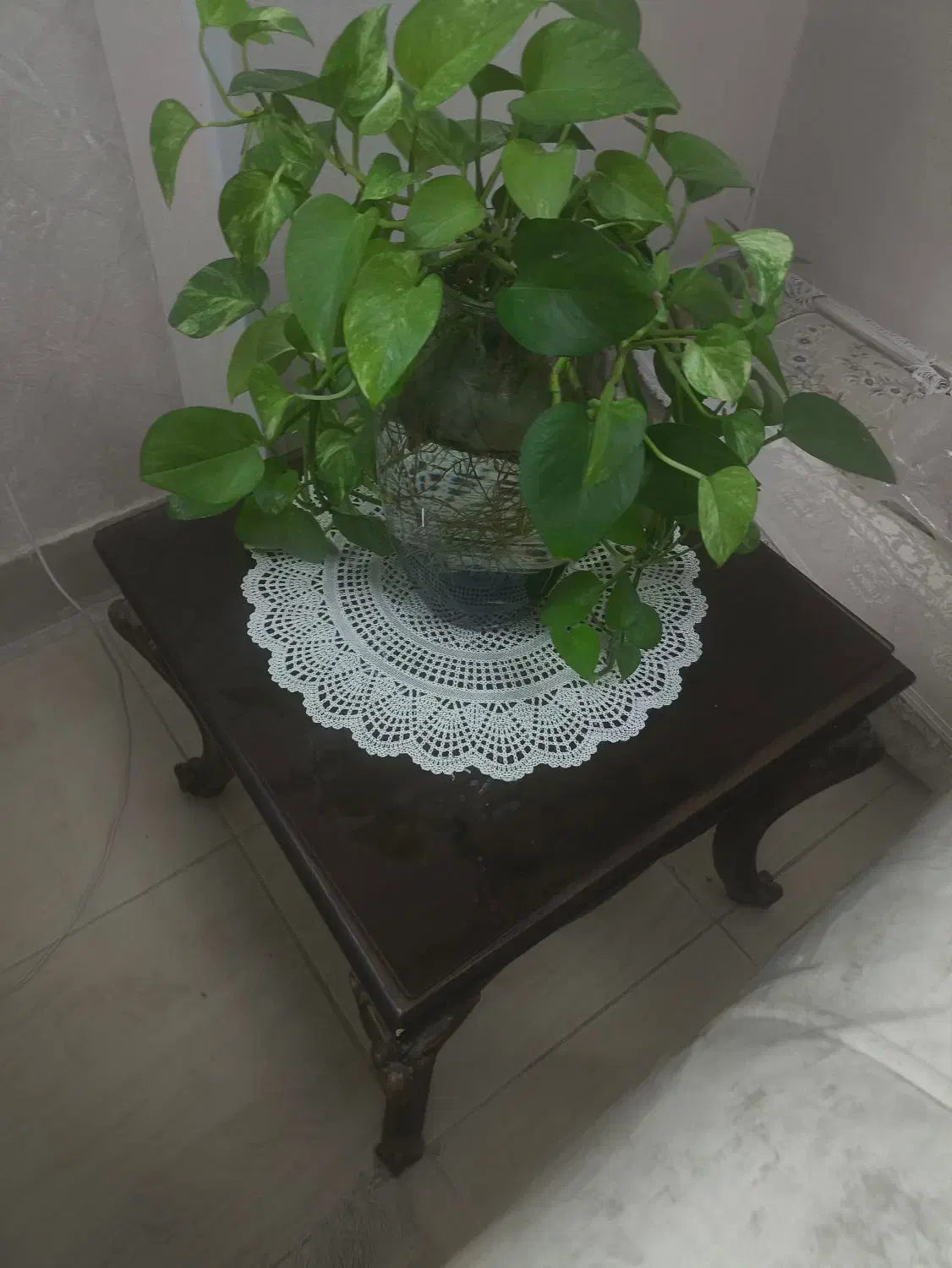 شیشه برنز|میز و صندلی غذاخوری|اصفهان, امیرعرب|دیوار