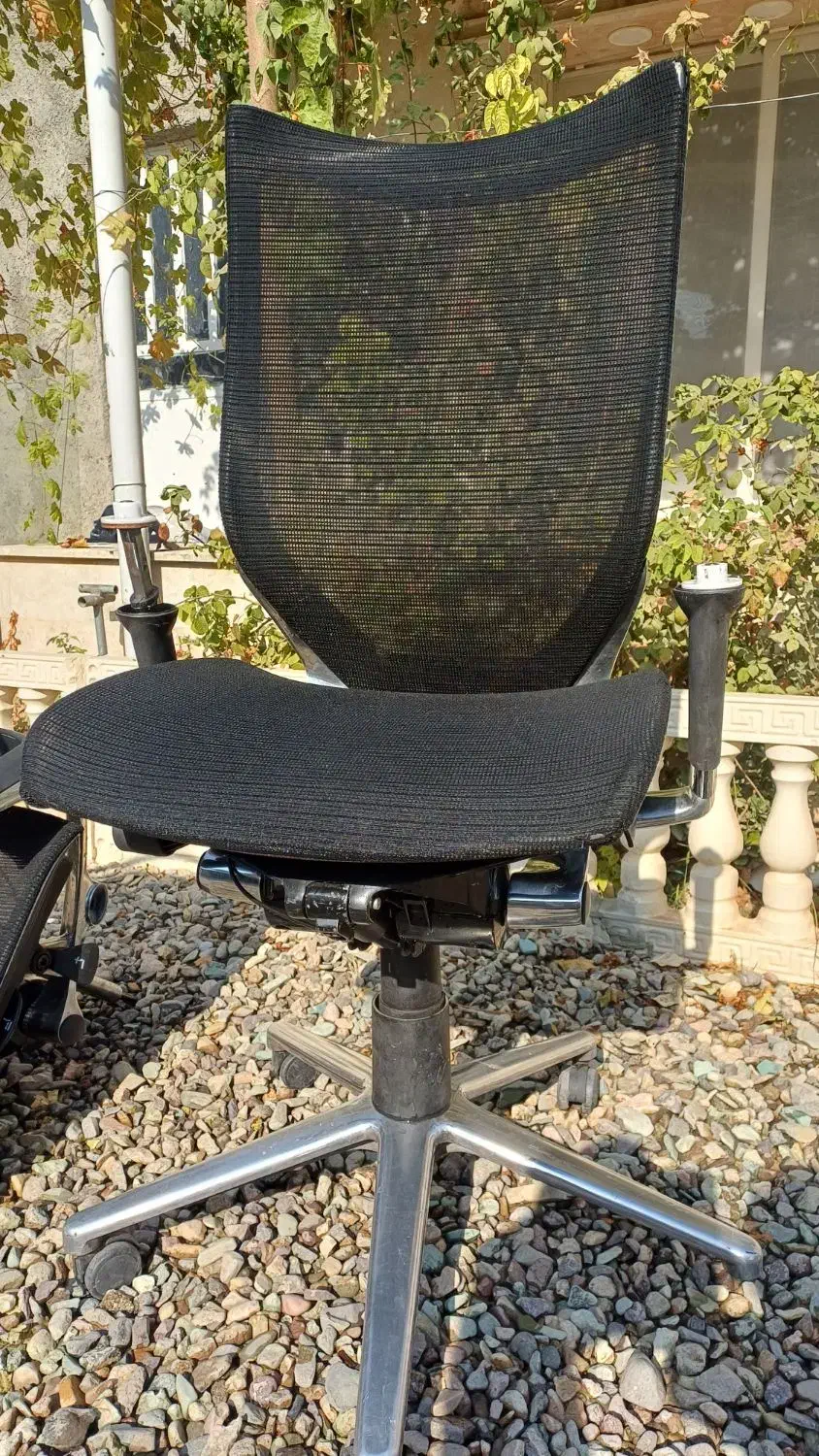 صندلی اروند|صندلی و نیمکت|آبیک, |دیوار