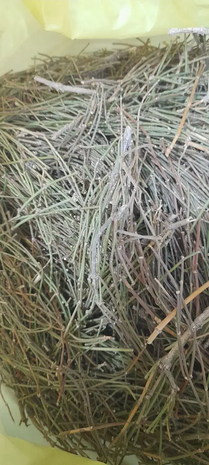 ریش بزی یا افدرا یا هوم|خوردنی و آشامیدنی|تهران, ابوذر|دیوار