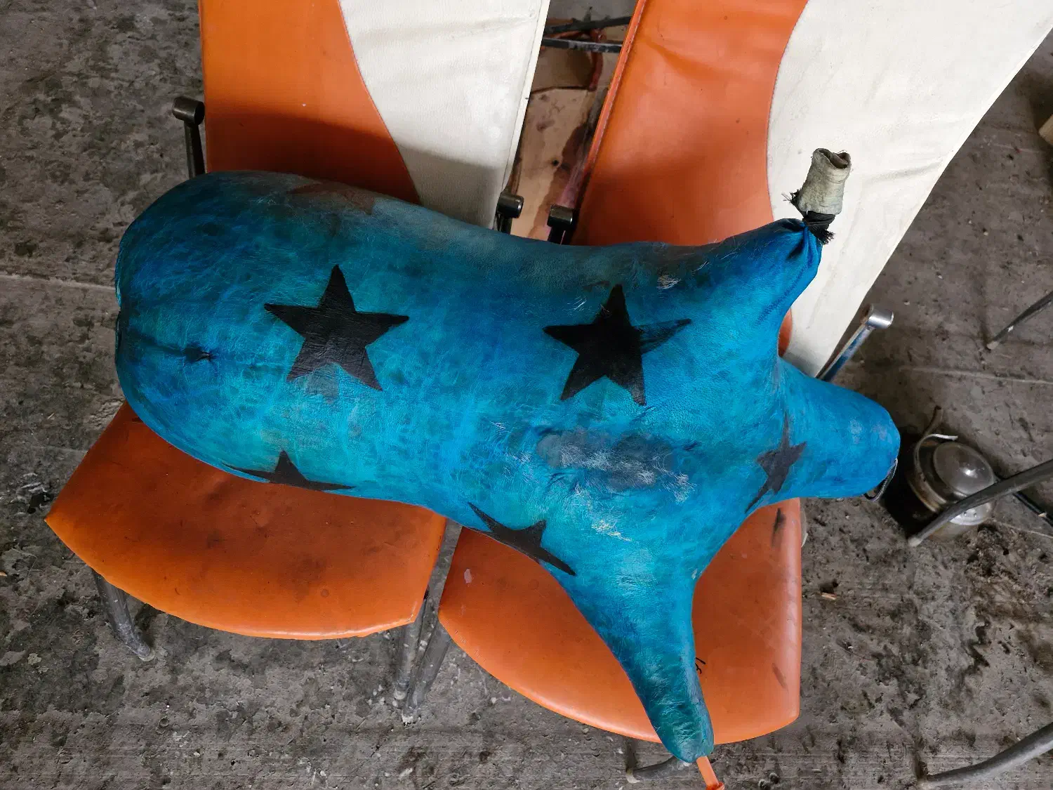 پوست نی انبان|سازهای بادی|لنجان, |دیوار