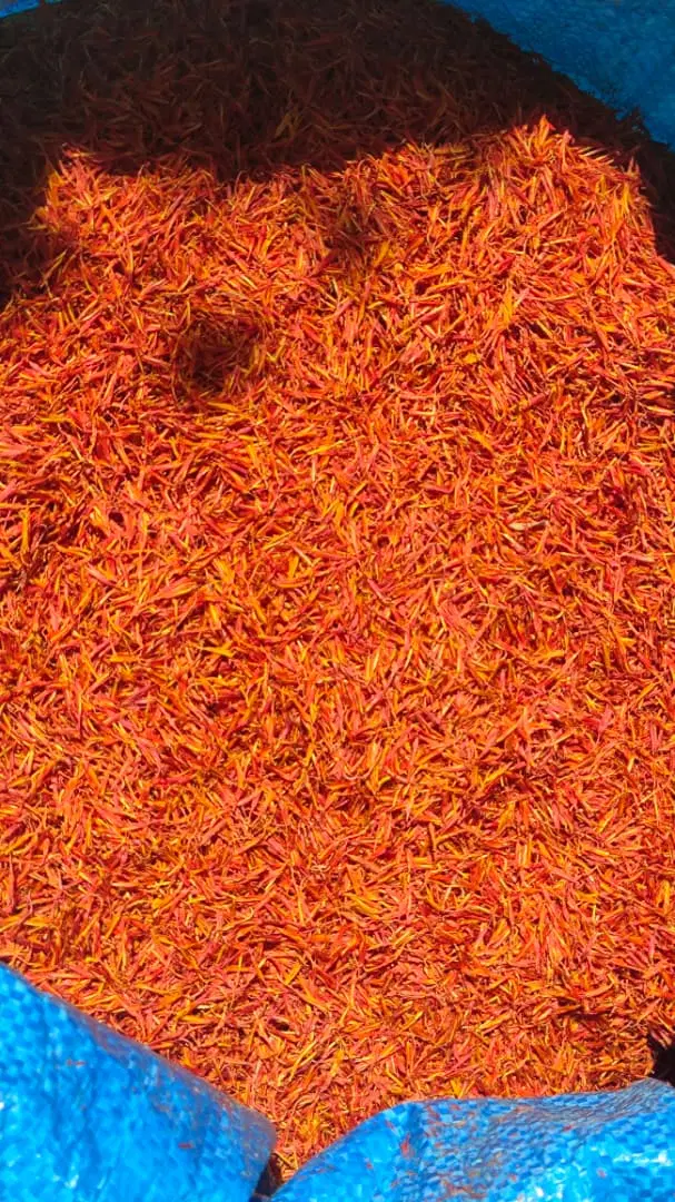 گلرنگ|عمده‌فروشی|شیراز, آزادی|دیوار