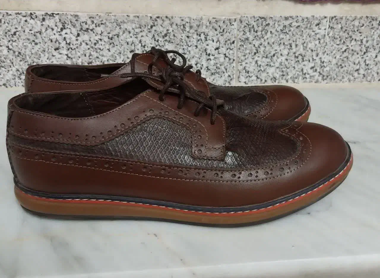 کفش چرم در حد نو زیر قیمت به علت داشتن چک|کیف، کفش، کمربند|قم, هنرستان|دیوار