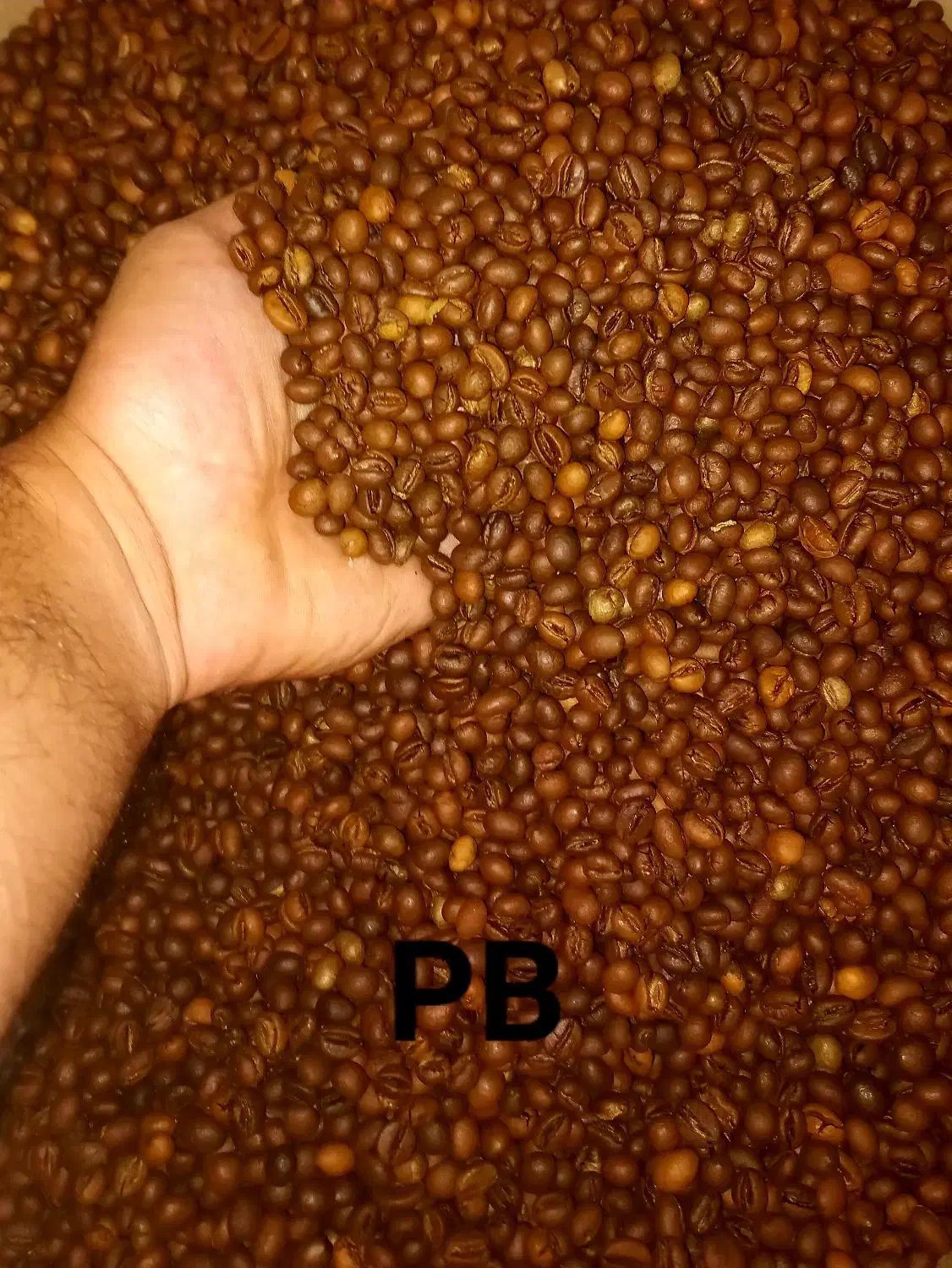 کارگاه رست و پخش قهوه دیزباد|کافیشاپ و رستوران|ملکآباد, |دیوار