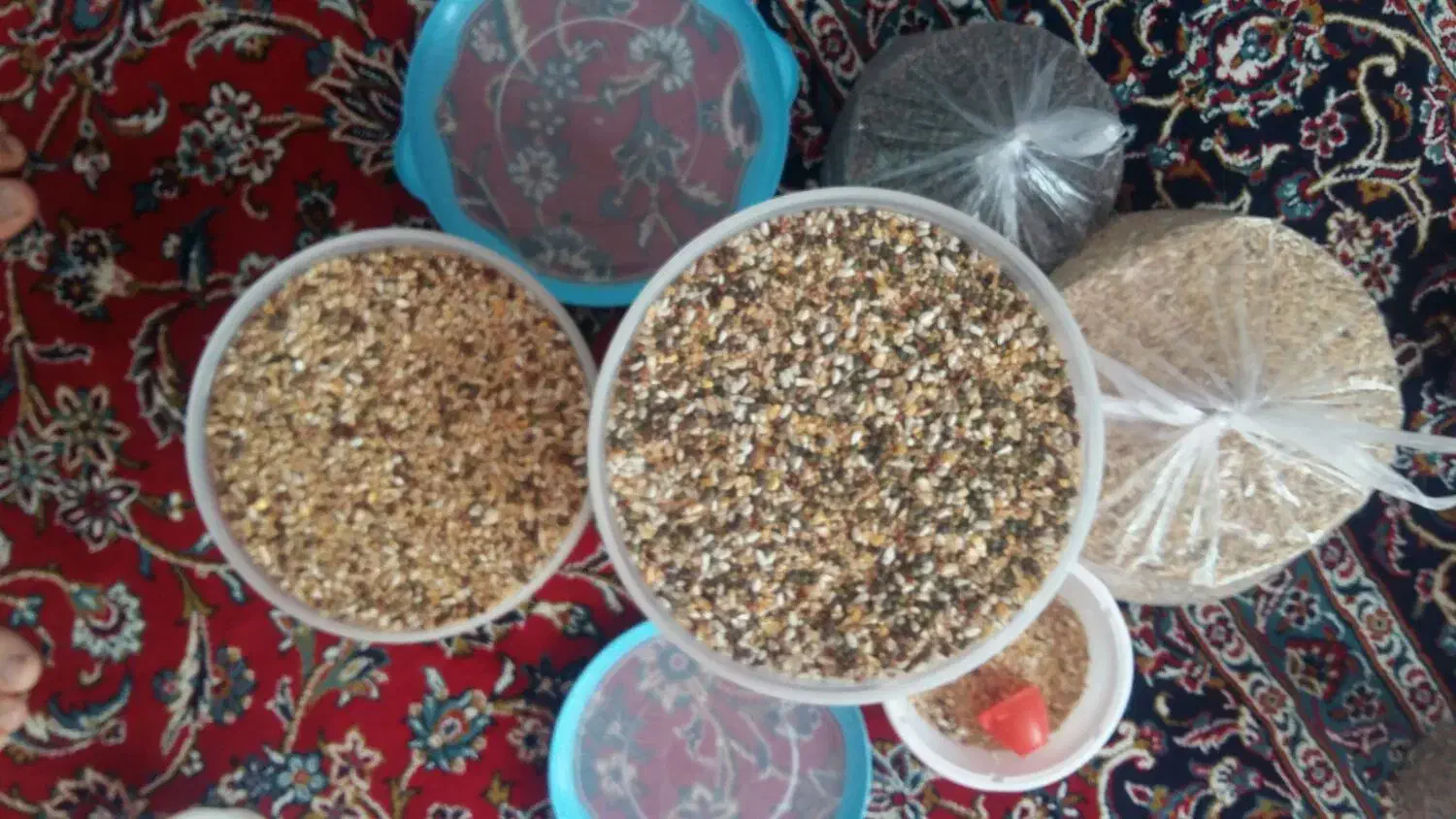 جفت کنی گنجه قفس آهنی و دانه کفتر|لوازم جانبی حیوانات|تهران, بهارستان|دیوار