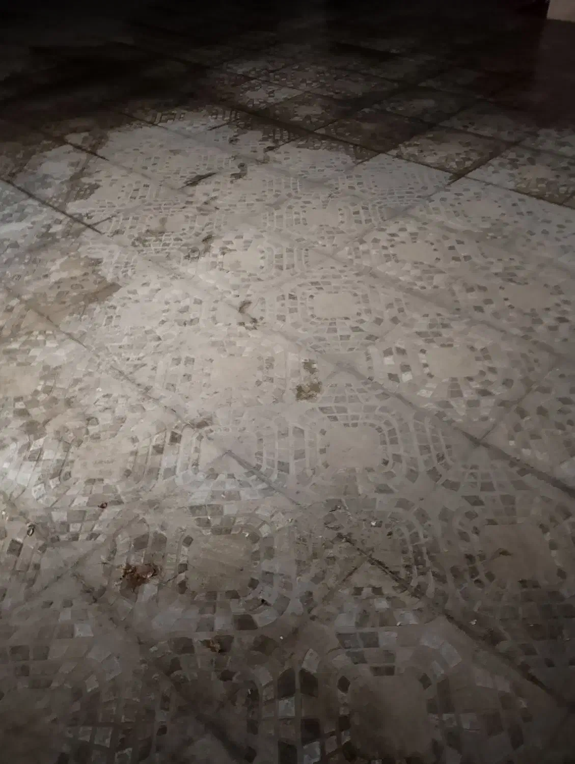 تمیز کاری نظافت منزل با وسایل کامل فقط|خدمات نظافت|اصفهان, احمدآباد|دیوار