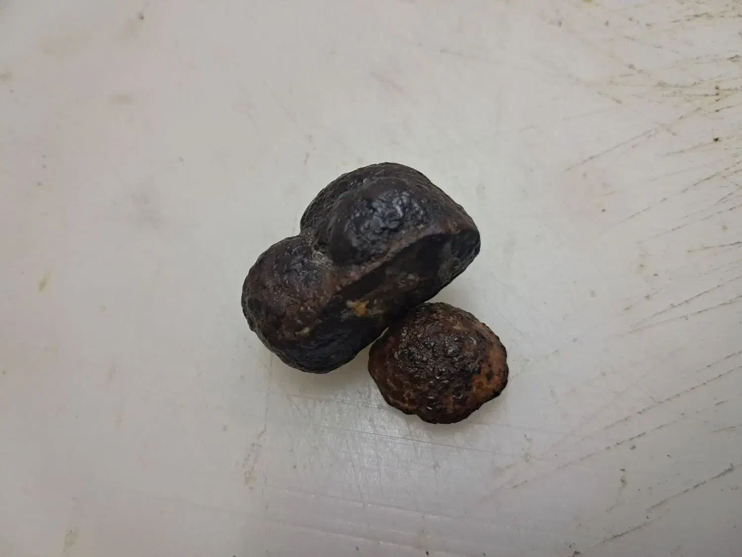 شهاب سنگ|کلکسیون اشیاء عتیقه|شیراز, حومه شیراز|دیوار