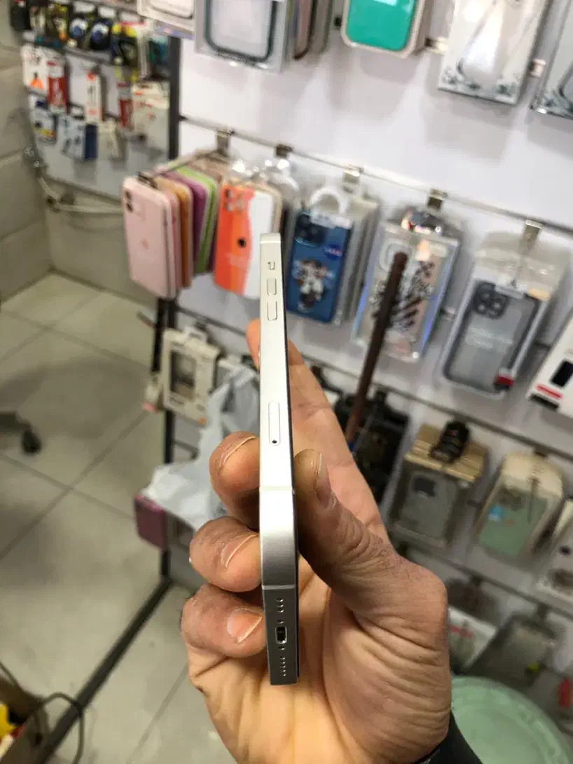 iphone 13|موبایل|یزد, |دیوار