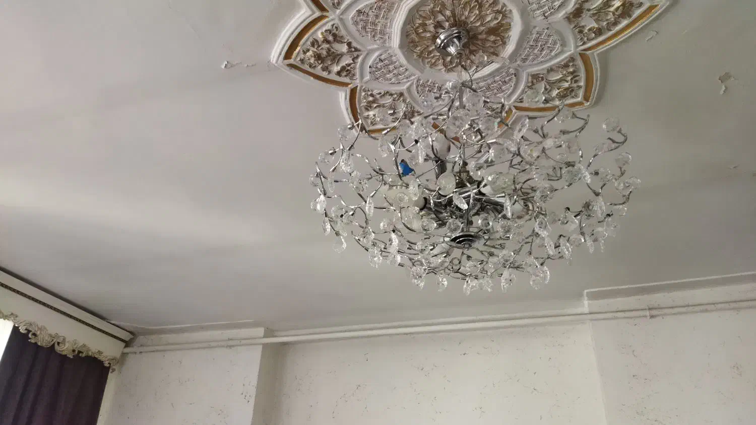 لوستر عالیجناب|لوستر و چراغ آویز|کرمانشاه, |دیوار