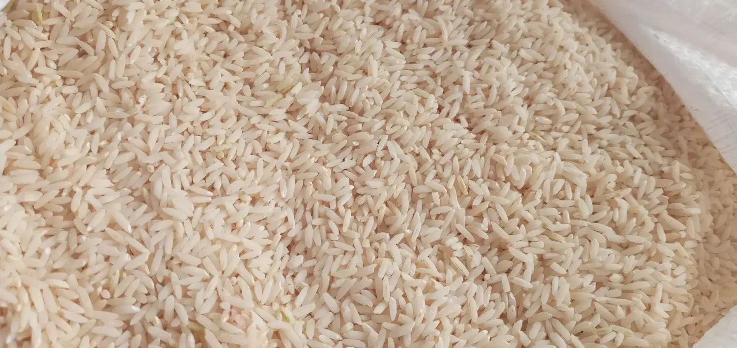 برنج هاشمی چقلوندی|خوردنی و آشامیدنی|بیرانوند, |دیوار