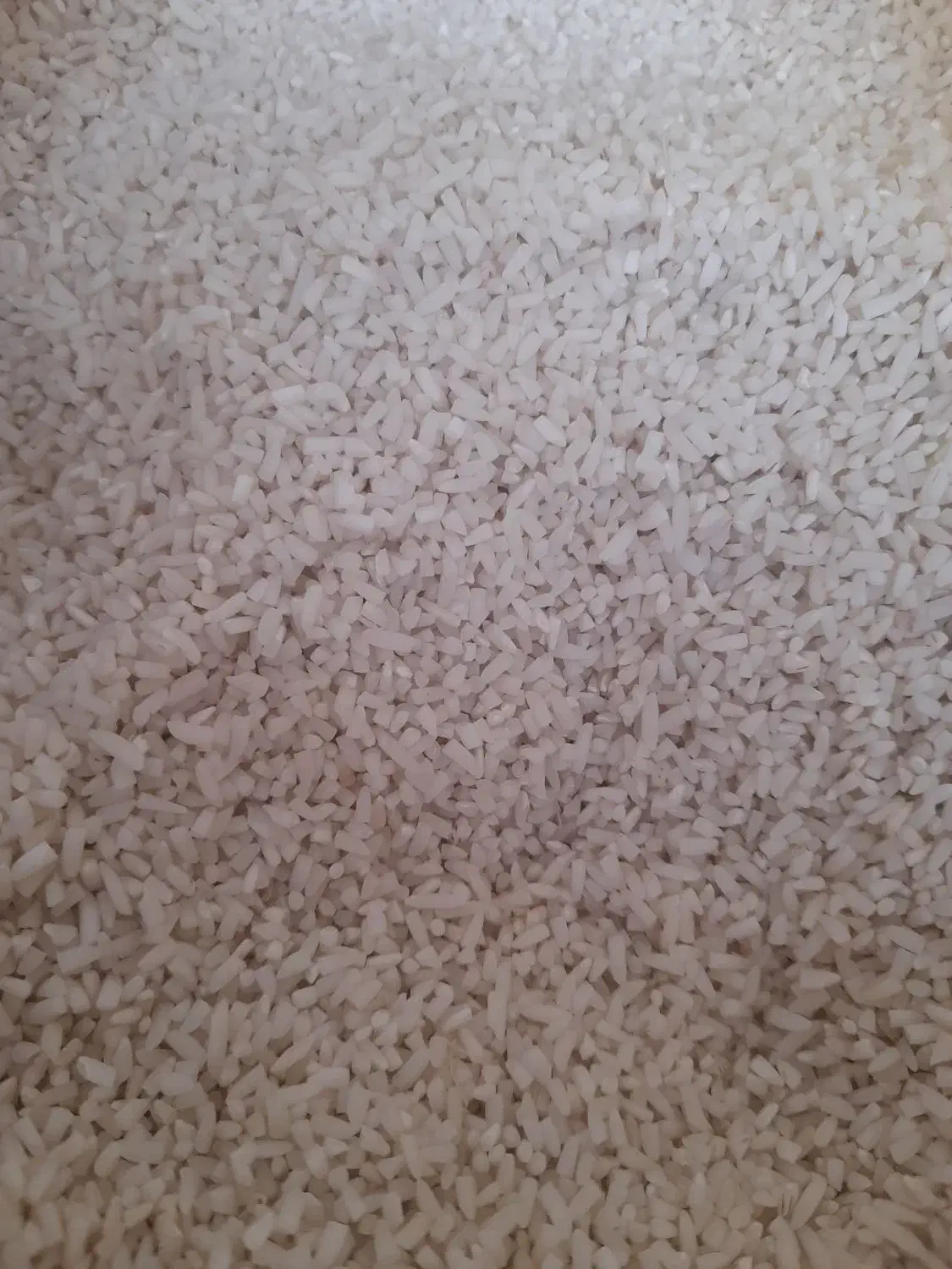 برنج نیم دانه عالی هاشمی به شرط واسه سیاهکل|خوردنی و آشامیدنی|کرج, کمالشهر|دیوار