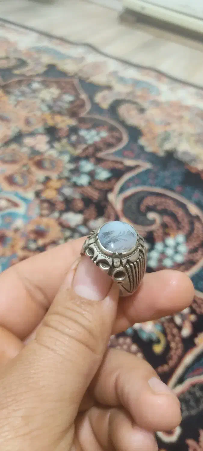 کفتر طوقی|زیورآلات و اکسسوری|شهریار, شهرک بهاران (ویره)|دیوار