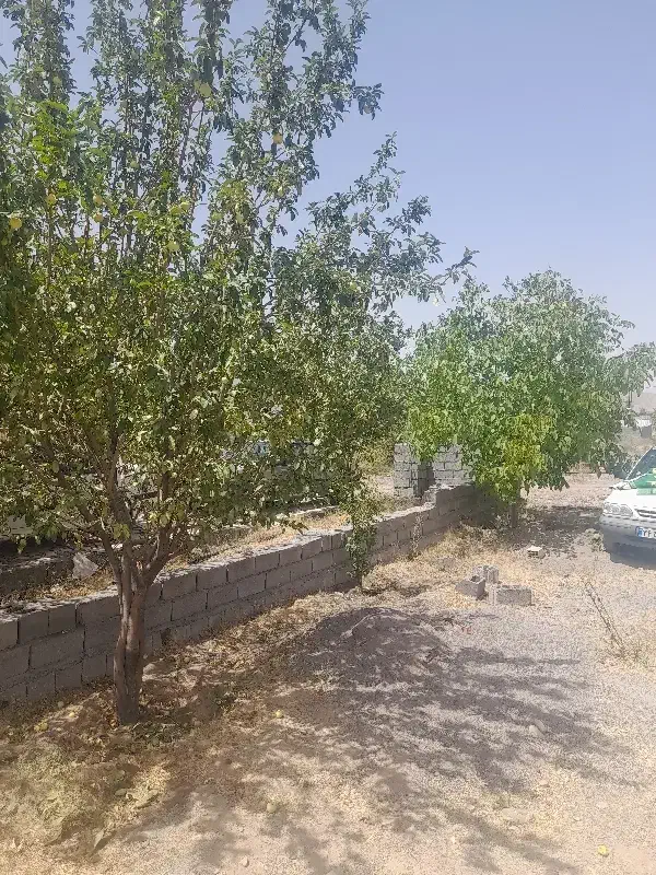 ۲۸۰متر زمین باخونه۴۵متری دهبکری محله بیدزاغ|فروش خانه و ویلا|بم, |دیوار