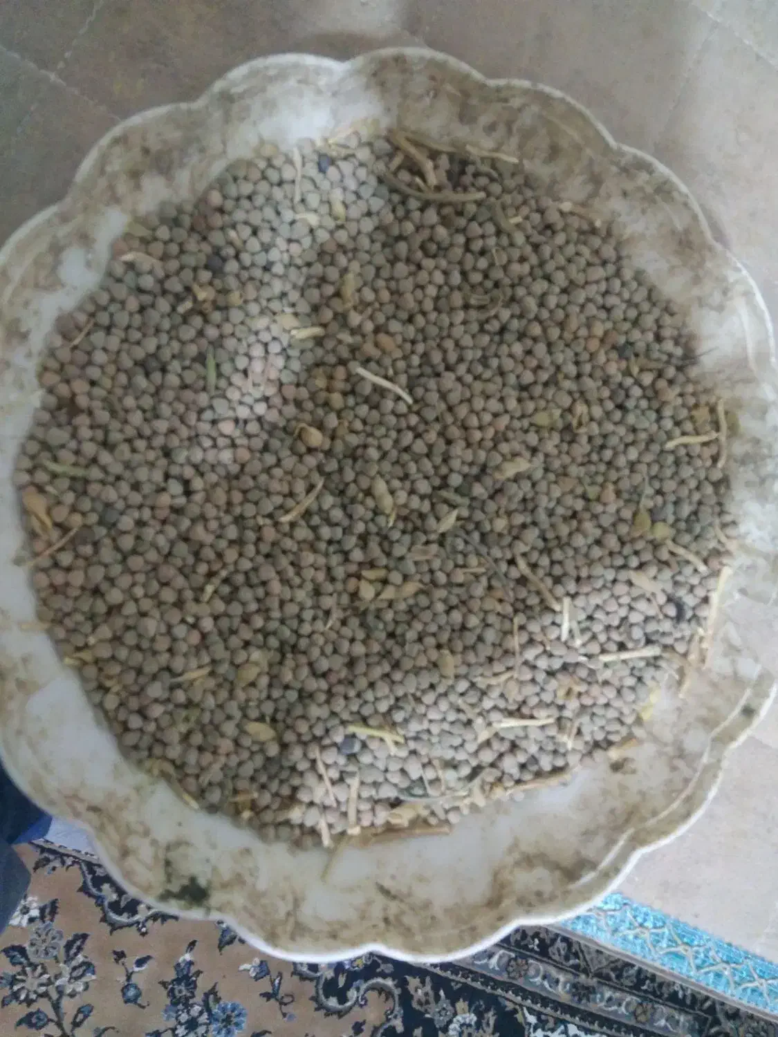 گاودانه بو جاری شده|عمده‌فروشی|شراء, |دیوار