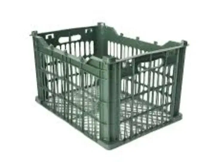 سبد رنگی سردخانه ای|ظروف نگهدارنده، پلاستیکی، یکبارمصرف|کوهدشت, |دیوار