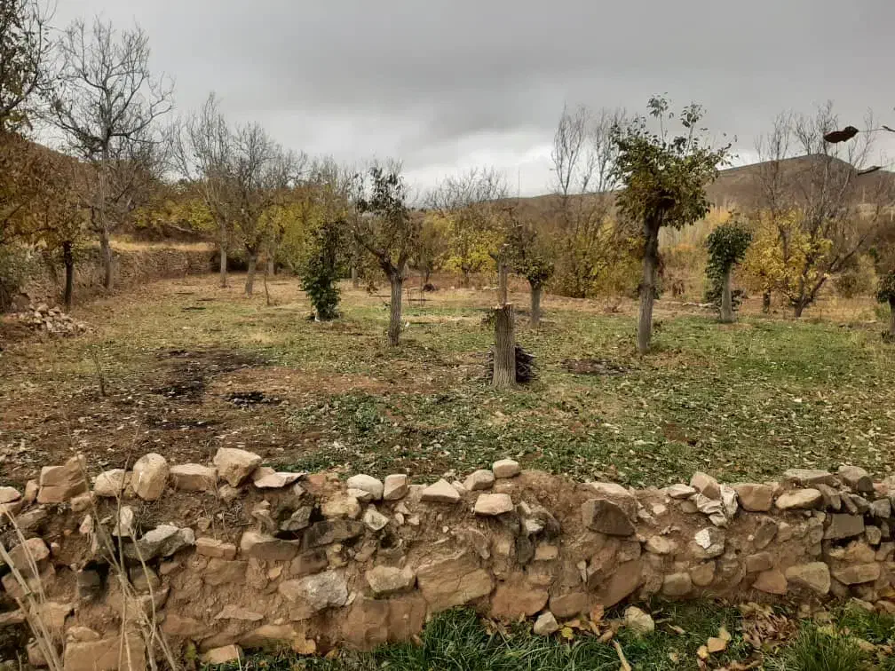 خرید چوب  باغ و زمین  و تیر سقفی|خدمات باغبانی و درختکاری|شیروان (خراسان), |دیوار