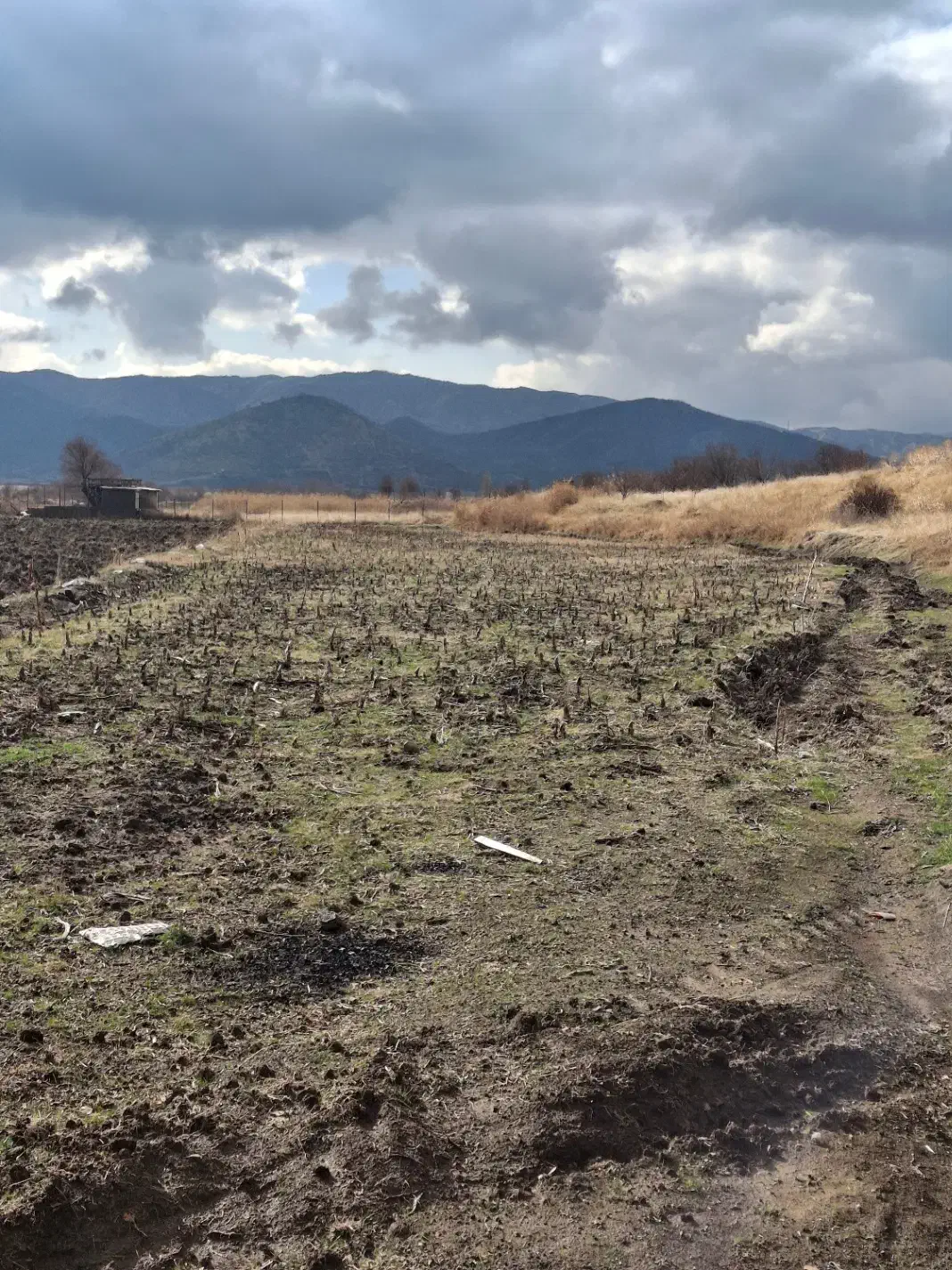 روستای چشن آباد|فروش زمین و ملک کلنگی|خاو و میرآباد, |دیوار