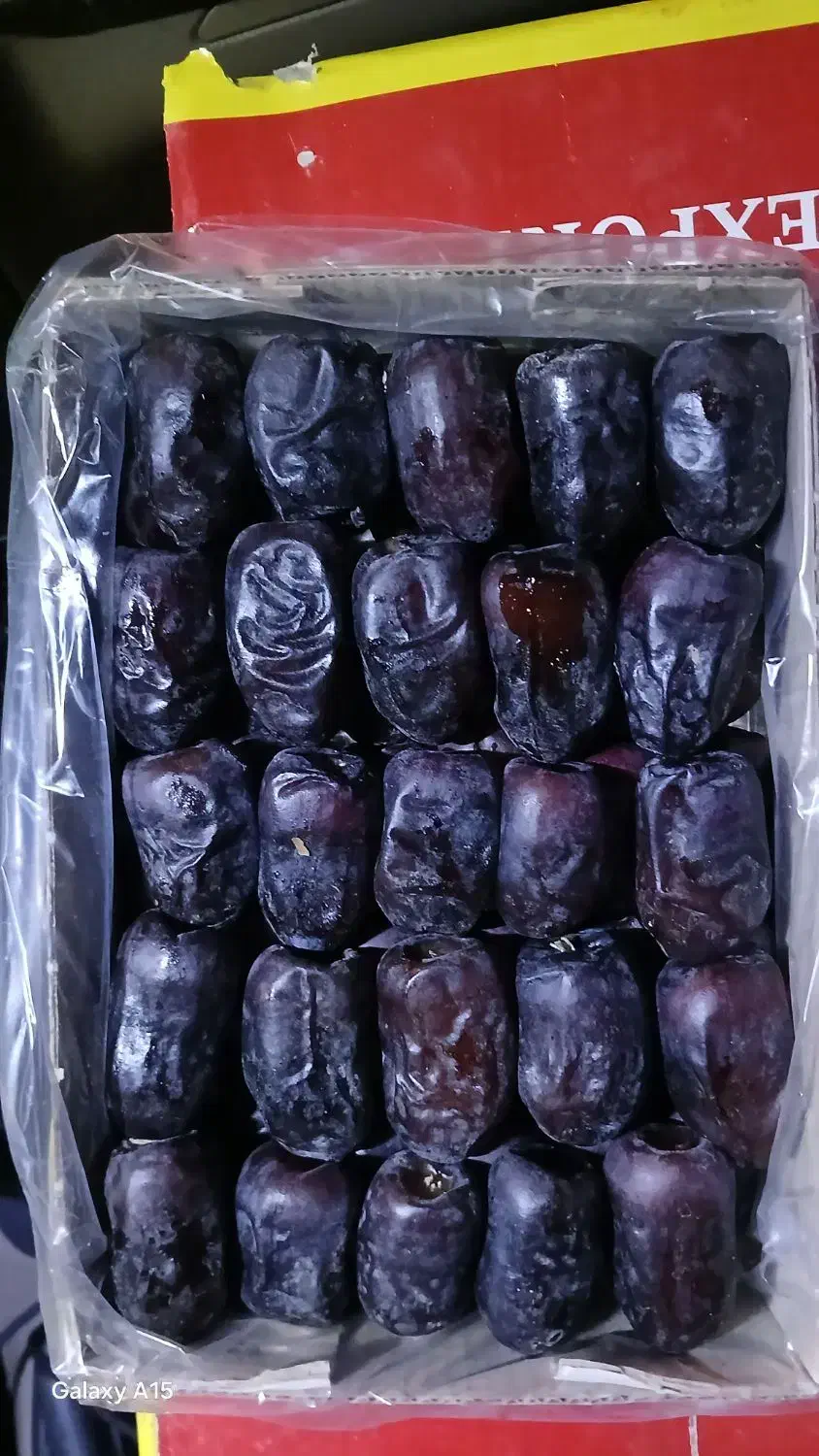 خرما رطب مضافتی بم دو ردیف و سه ردیف تازه|خوردنی و آشامیدنی|یزد, |دیوار