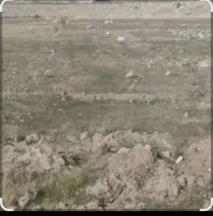 فروش زمین درمشگین شهر|فروش زمین و ملک کلنگی|مشگین شهر, |دیوار