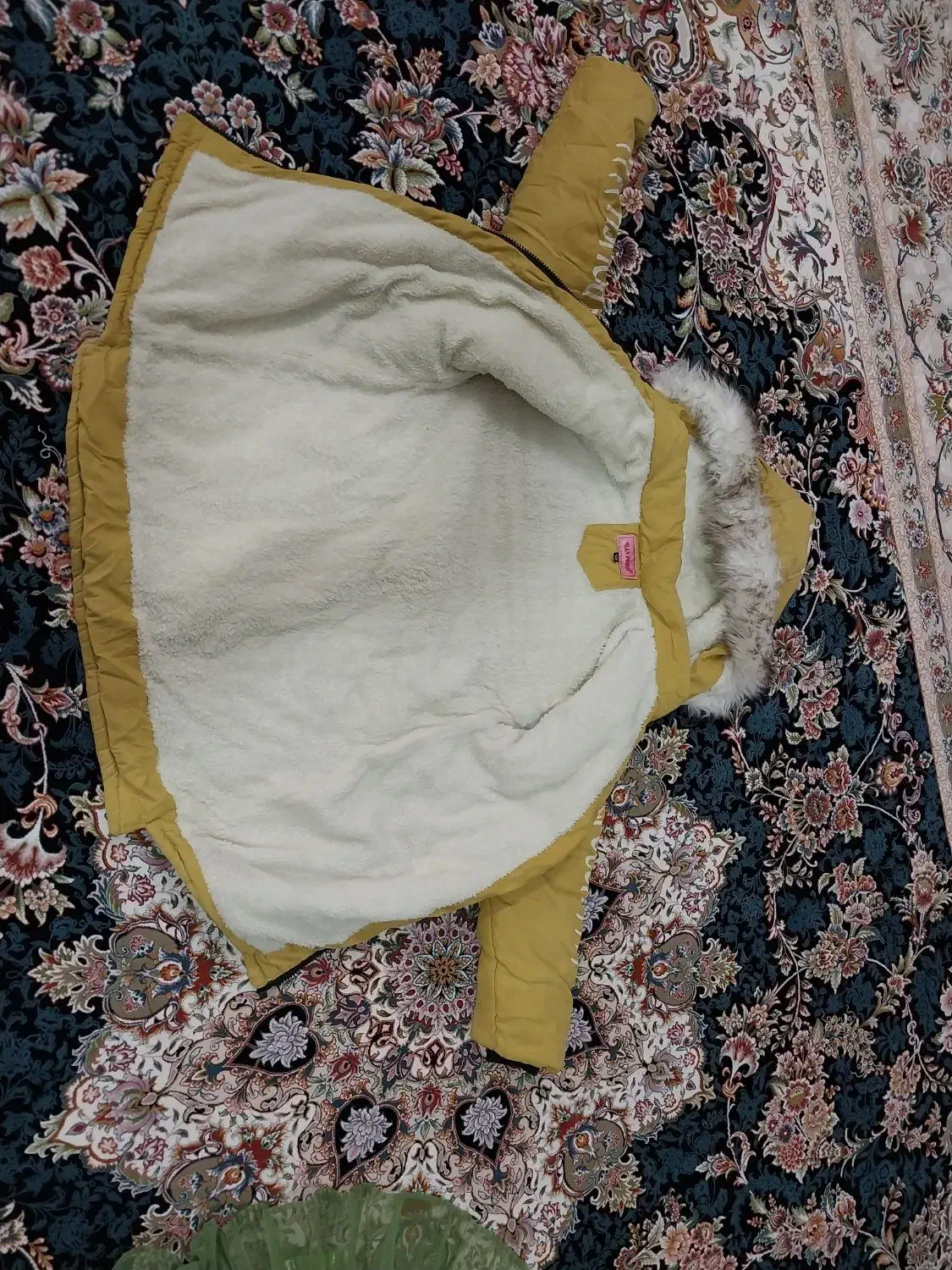 کاپشن دخترانه و کت جین|لباس|شیراز, سلطان آباد|دیوار