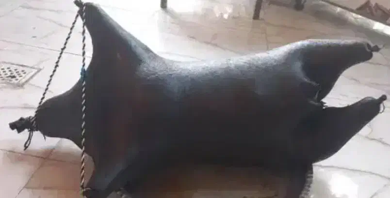 کت وهیزه|لباس|جوانرود, |دیوار