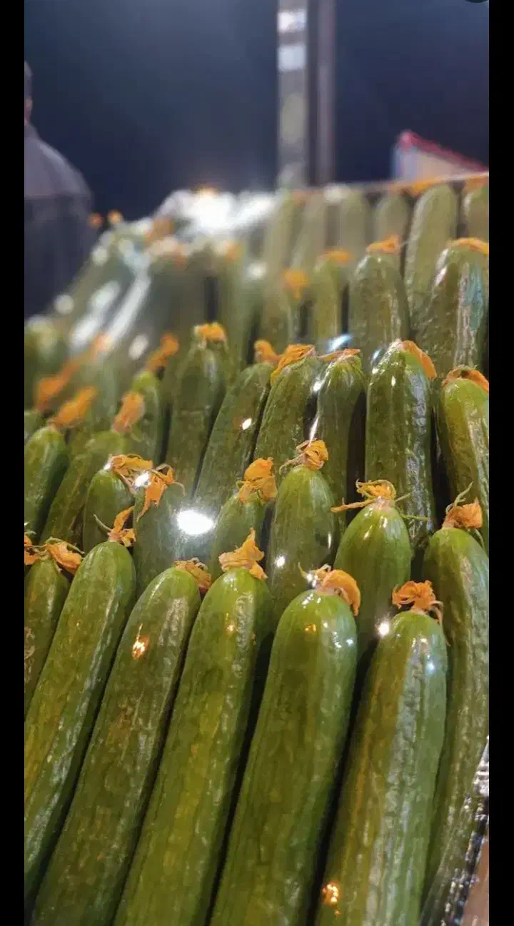 بخش عمده میوه تربار برای تمام ارگانها|خوردنی و آشامیدنی|تهران, میدان میوه و تره‌بار مرکزی|دیوار