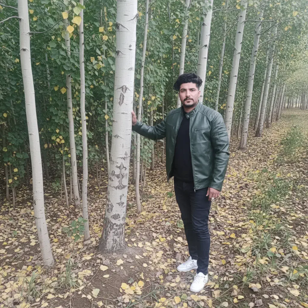 صنوبر درختی اقتصادی با بازار همیشه پرتقاضا|خدمات باغبانی و درختکاری|اصفهان, رکن الدوله غربی|دیوار