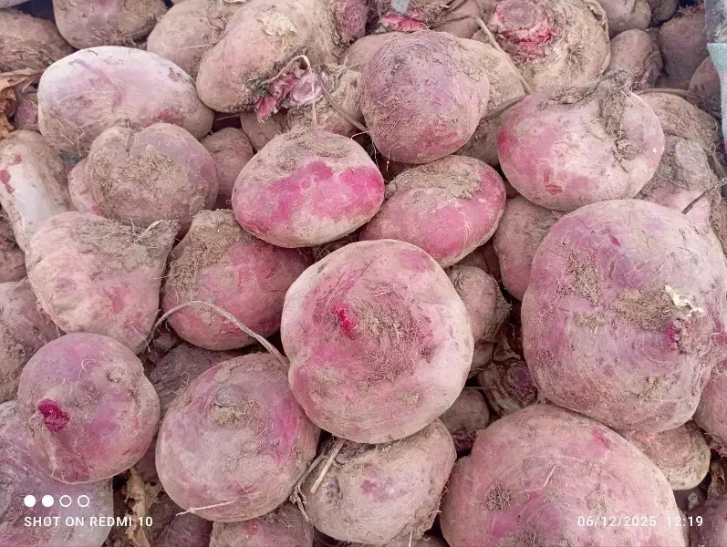 لبو|خوردنی و آشامیدنی|دشتابی, |دیوار