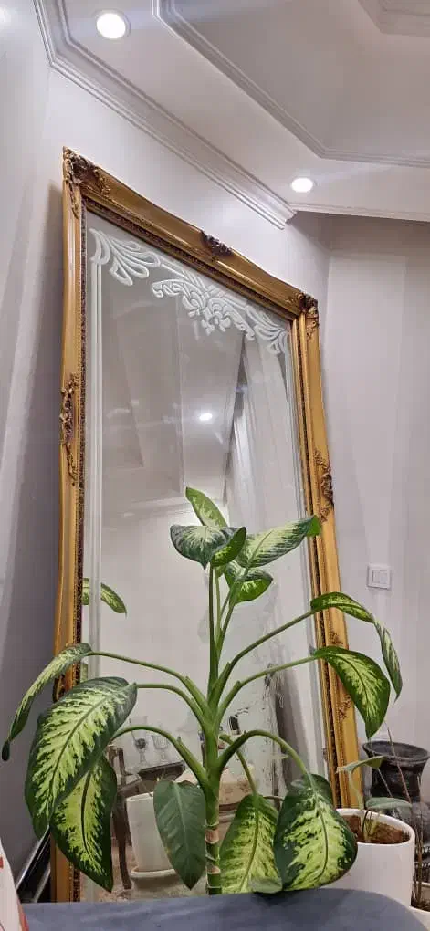 آیینه قدی|آینه|تهران, تهرانپارس غربی|دیوار