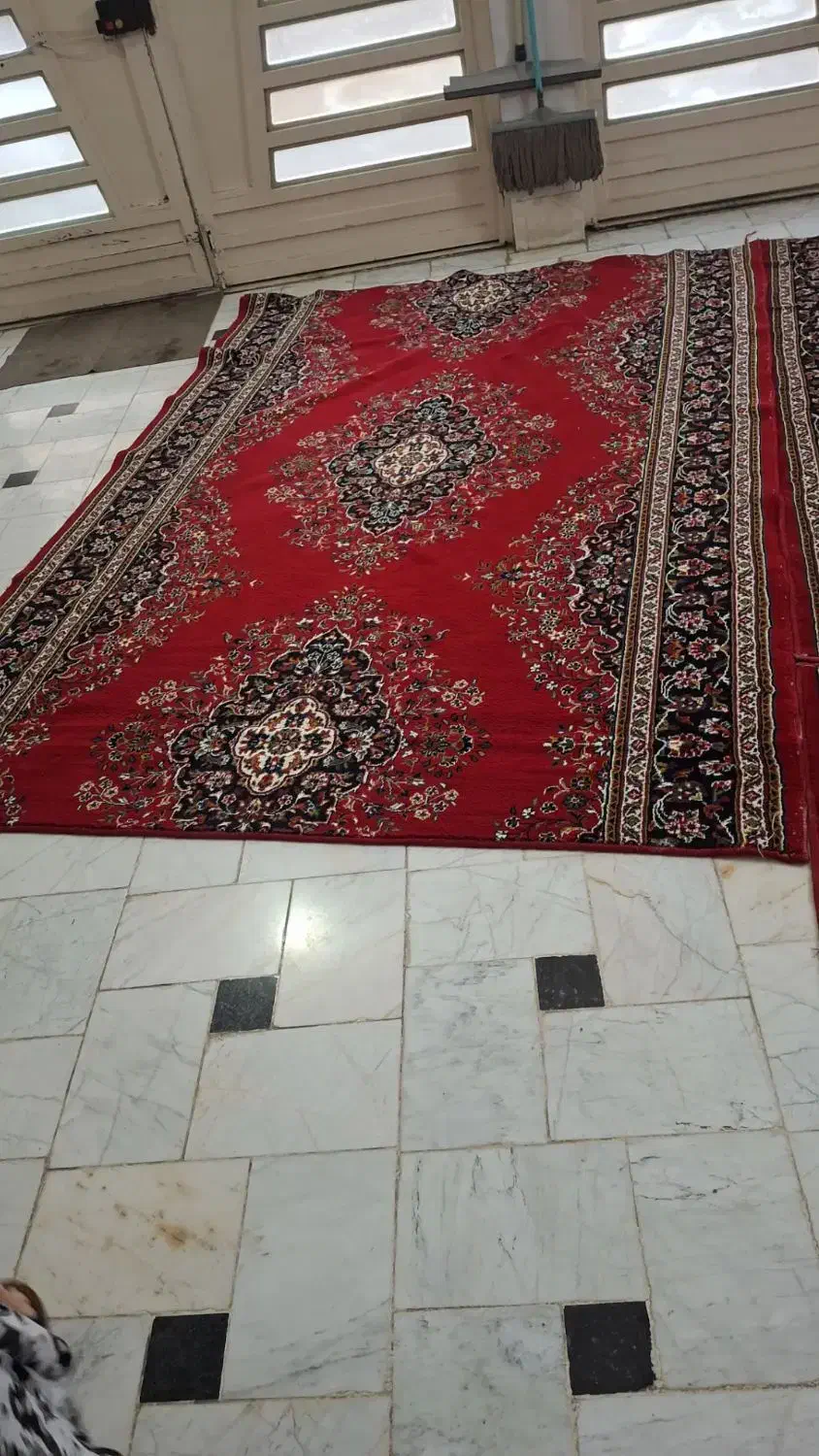 فرش کناره|فرش|قم, شهر قائم|دیوار