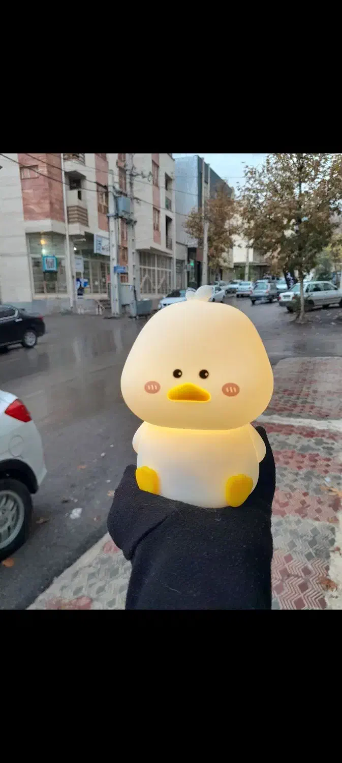 چراغ خواب و...|چراغ خواب و آباژور|ایلام, |دیوار