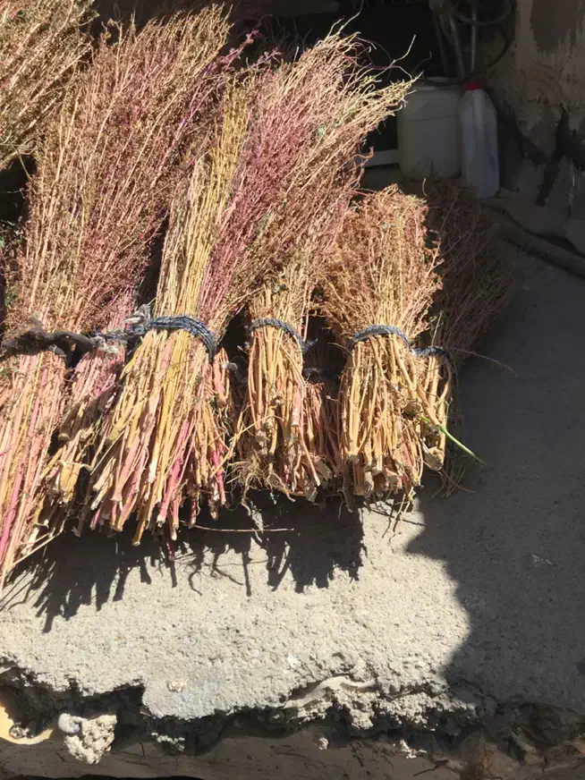 جارو محلی درجه یک|لوازم نظافت|زاغه, |دیوار