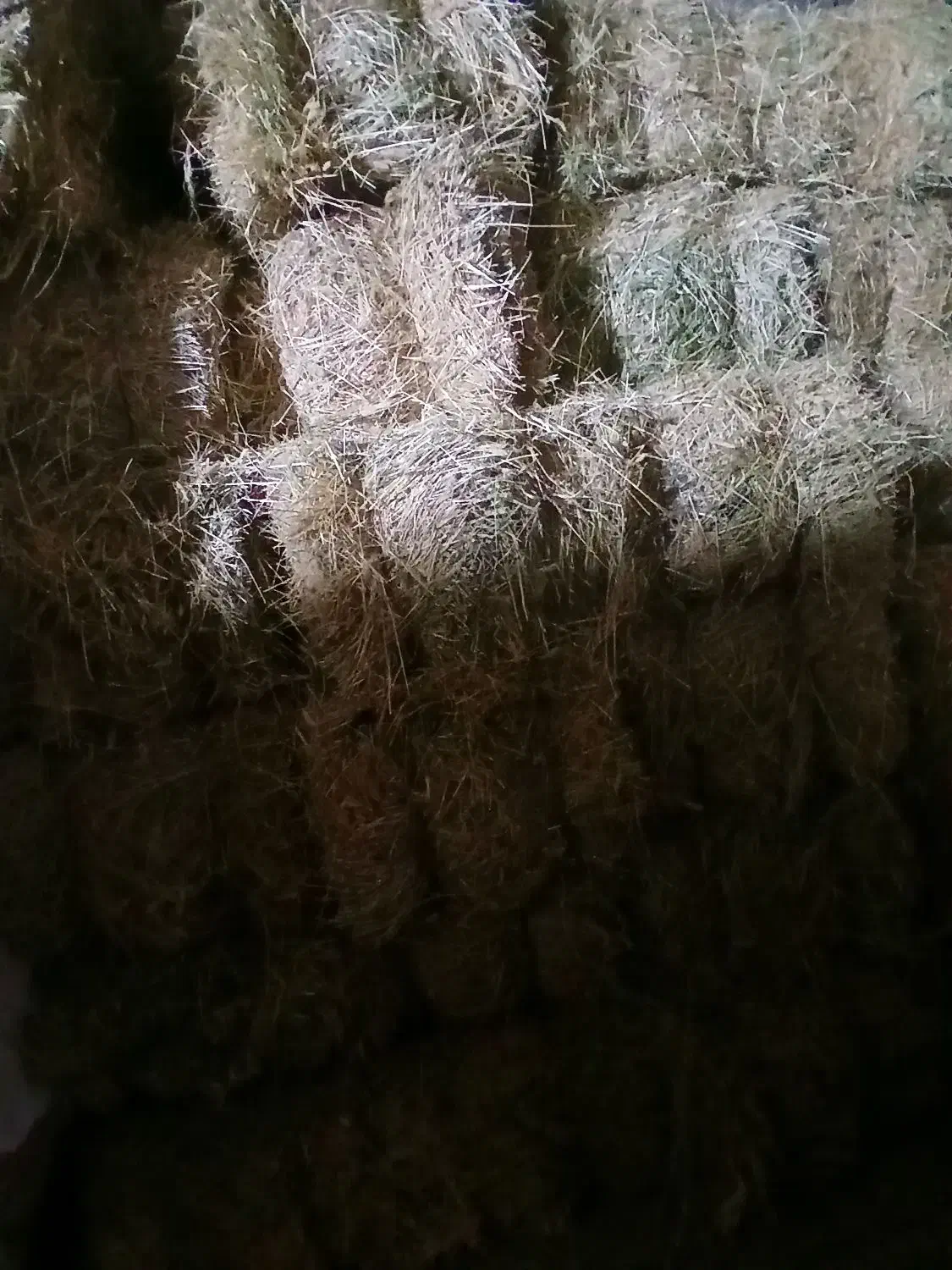 پرس کاه ارزن|لوازم جانبی حیوانات|فرمهین, |دیوار